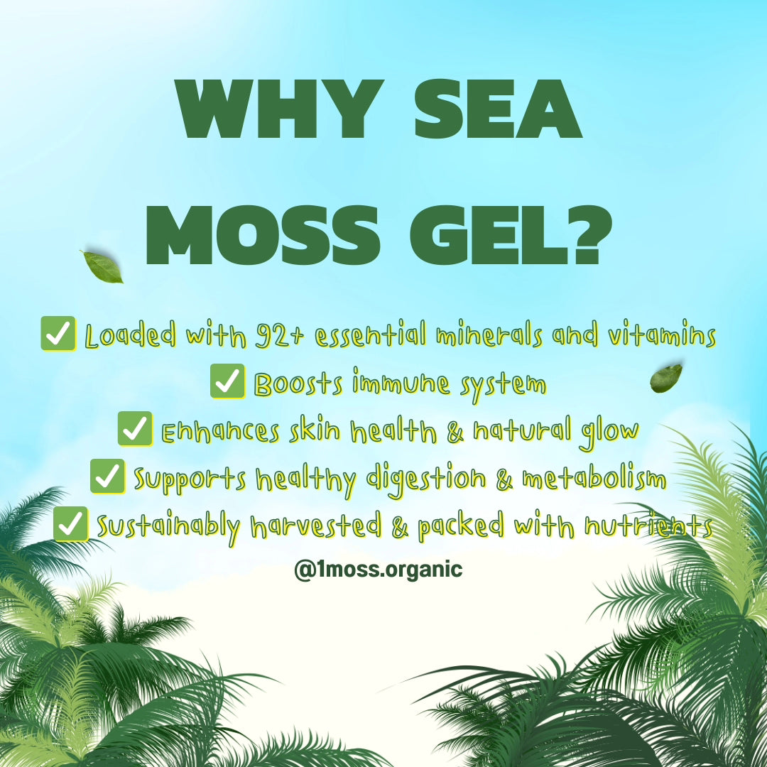 1'Moss Organic Sea Moss Gel